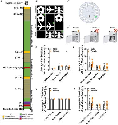 Lateral Fluid Percussion Injury Causes Sex-Specific Deficits in Anterograde but Not Retrograde Memory